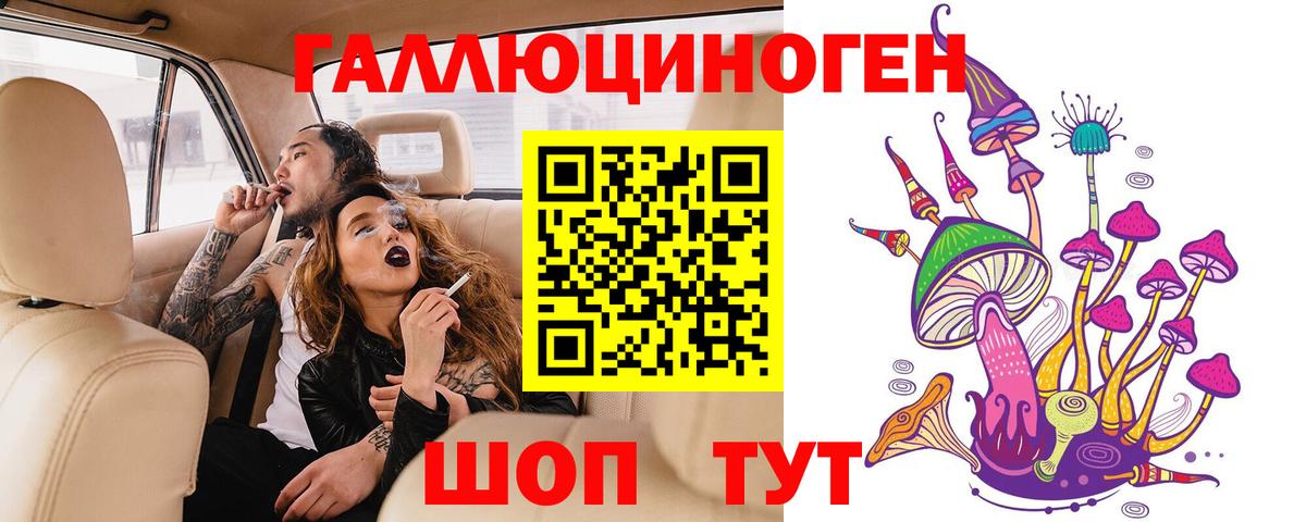 Галлюциногенные грибы Psilocybine cubensis Елизово