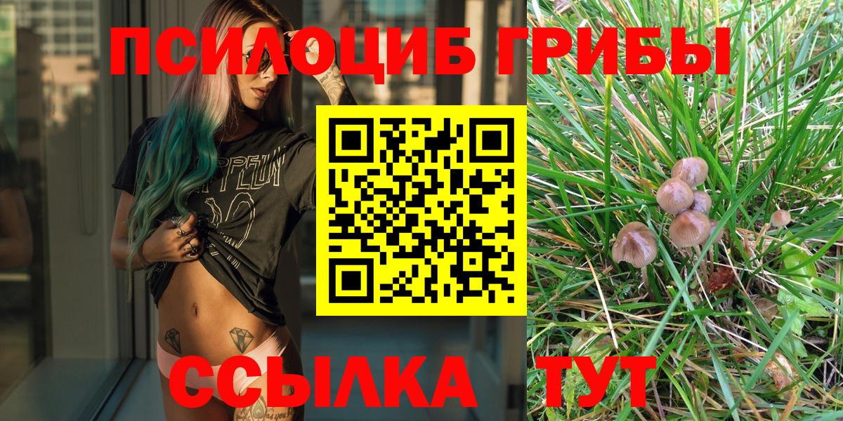 Галлюциногенные грибы Cubensis  Вход с VPN  Елизово  Псилоцибиновые грибы прущие грибы 