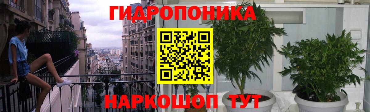 Шишки марихуана OG Kush  Канабис AK-47  Елизово  Бошки марихуана AK-47  Вход с VPN  Канабис гибрид 